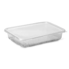 G 301 POTE 1000ML C/TP C/1 FREEZ/MICROO