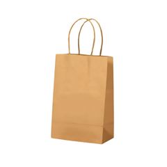 SACOLA PAPEL P PARDA C/50 18X09X29 SD21