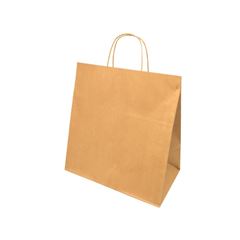 SACOLA PAPEL G PARDA C/50 31X14X31 SD28