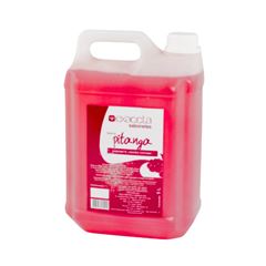 SABONETE ESPUMA 5LT EXACTA PITANGA