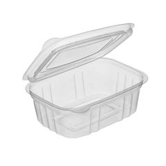 GA 088 POTE 250ML RETANGULAR COM/TAMPA ARTICULADA C/1