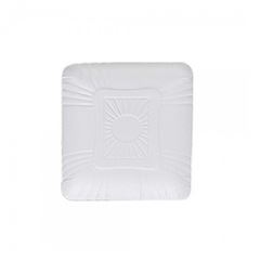 BANDEJA PAPELÃO N23 19X24 C/100 B-2 FRITZKE